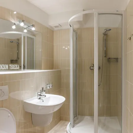 Guest house Terezka Hlucin