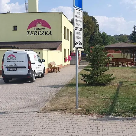 Terezka Hlucin